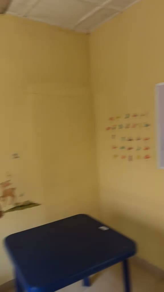 Classroom walls decorated with Arabic letters and a tree mural